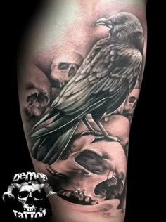 Treppentattoo - Unser Vergleichssieger