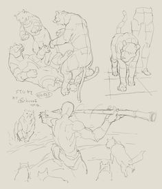 drawing anatomy in perspective