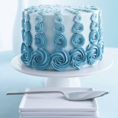 1130 best cake ideas