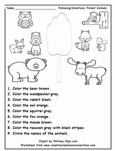 Animal themed math worksheets camping