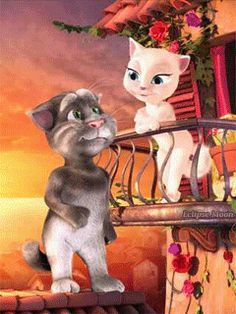 38 Ideas De My Talking Tom Gatos Gato Tom Feliz Cumpleaños Chistes Del Gato Tom