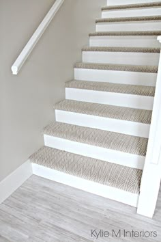 Staircase Remodel, Carpet Treads For Stairs, Stairs With Carpet Runner, Basement Renovations, Basement Design, Basement Stairs, Basement Ideas, Homemade Home Decor