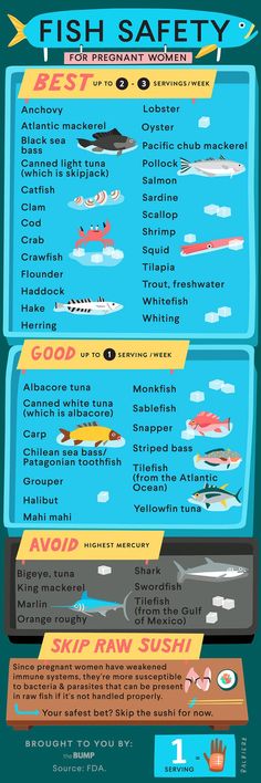 pregnancy diet pregnancy countdown chart