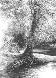 Tree Drawings 50 amazing pencil drawings | drawing trees, drawings and rivers Tree Drawings 50 amazing pencil drawings | drawing trees, drawings and rivers