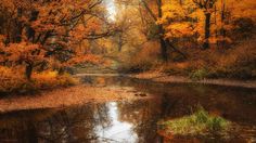 25 best fall colors background desktop images autumn scenery