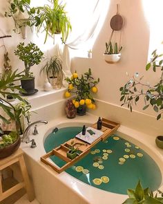 340 Stuff I Want Ideas In 2021 Tiny House Interior Design Tiny House Inspiration Tiny House Living
