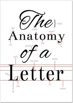 11 best typeface anatomy