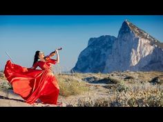 36 Ideas De Violines Violines Musica Canciones