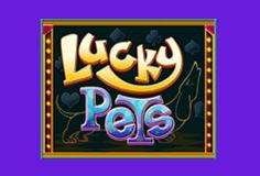 Gusher slot machine download free Gusher slot machine download free