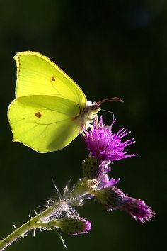 Related image
