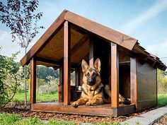 59 besten Hundehütte Bilder auf Pinterest | Haustiere, Tierhäuser ... 59 besten Hundehütte Bilder auf Pinterest | Haustiere, Tierhäuser ...
