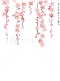 枝垂れ桜 のアイデア 33 件 桜イラスト 花 イラスト 桜 壁紙 枝垂れ桜 のアイデア 33 件 桜イラスト 花 イラスト 桜 壁紙
