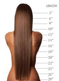 14 Inch Hair Chart Google Search Hair Length Guide Braids Wig
