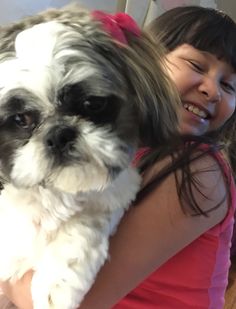 Belfie From Iran Shih Tzu Pinterest Iran