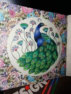 Livro Reino Animal Colorido Por Gilmara Ribeiro
