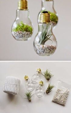 Eine Glühbirne wird zum Terrarium Terrarium, Handmade Home Décor, Diy Artwork, Diy, Diy Projects, Crafts, Diy Home Décor, Diy On A Budget, Diy And Crafts