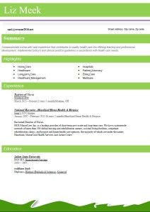 format of best resume