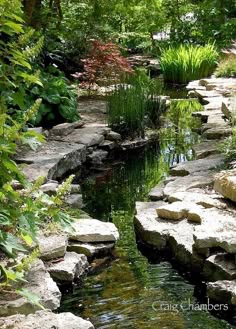 20 Outstanding Natural Garden Stream Designs That Will Amaze You ... 20 Outstanding Natural Garden Stream Designs That Will Amaze You ...