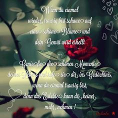 Dating seiten sprüche