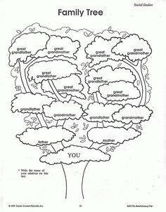 Family tree books to fill in