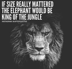 how to achieve your goals and dreams it s not the size of the dog in the fight quote
