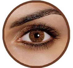 13039 ciba vision freshlook