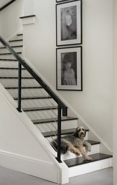 contemporary stair railing minimalist quintessential new england home that perfectly blends traditional and contemporary details cable stair railingmodern modern handrail designs make the staircase stand out contemporary stair railing minimalist quintessential new england home that perfectly blends traditional and contemporary details cable stair railingmodern modern handrail designs make the staircase stand out