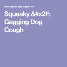 Old Dog Keeps Coughing Old Dog Keeps Coughing