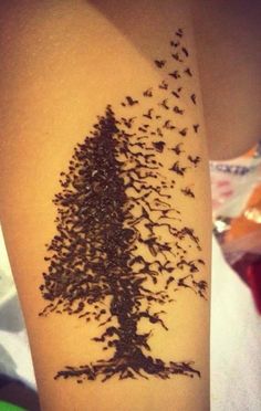 sunshine henna tattoo in sunshine henna tattoo in