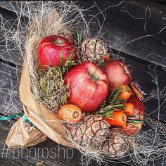 Букеты от искусствоведов @ohorosho Ииии подарю "...Instagram photo | Websta (Webstagram)