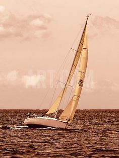 Miami CANVAS Sailboat competition Art print POSTER