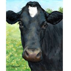 34 best black and white cows and chickens images chicken backyard