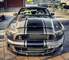Yay or Nay Sally Mustang Topless Yay or Nay Sally Mustang Topless