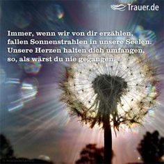 Kennenlernen richtig