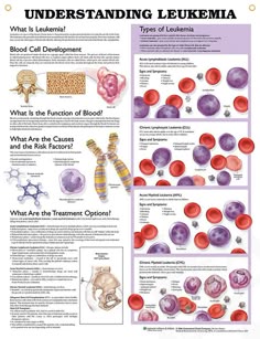 Leukemia argumentative paper