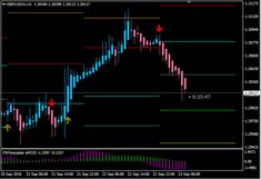 Zee business forex