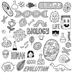 philosophy and culture essay photo