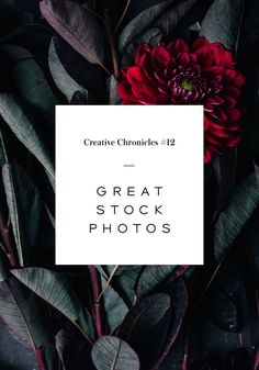 61 best pos images