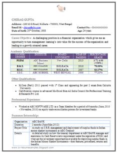 resume samples for experienced professionals free download