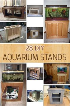 17 best fish tank