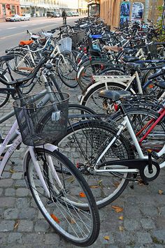 79 best bike rides