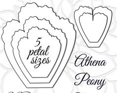 3087 best flowers templates