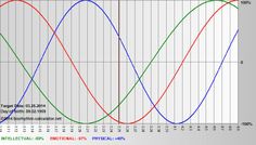 www biorhythm calculator net biorhythms pinterest calculator biorythm chart