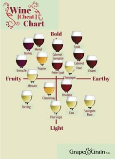 42 best wine 101