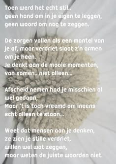 Oma Will VeuGeln Oma Will VeuGeln
