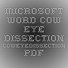 lab report template microsoft word microsoft word lab report format u0026 rubric 09 10 doc microsoft lab report template microsoft word microsoft word lab report format u0026 rubric 09 10 doc microsoft