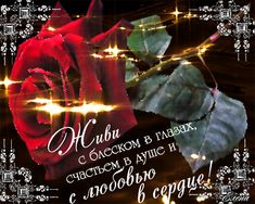 Открытка пожелания - для друзей - роза
