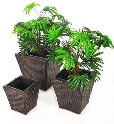 pflanzkubel polyrattan, 22 best blumenkübel aus polyrattan images on pinterest, Design ideen