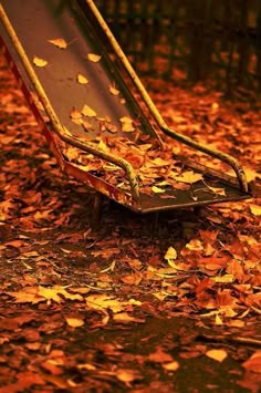 Image result for autumn arrives a pillow of wind