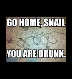 chem trails ruining my day since every day of my life those f03543b5c7edc8215d68506cbf1b1806 so funny funny pics chem trails ruining my day since every day of my life those,Go Home Bessie You Re Drunk Meme